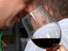 Vinos Para todos
